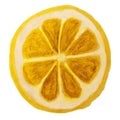 Round cut Ã¢â¬â¹Ã¢â¬â¹lemon slice isolated on a white background